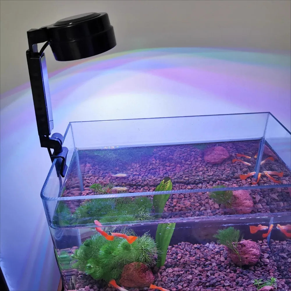 Mini LED Aquarium Light 5W USB Red Blue White Green LED Fish Tank Clip 3  Modes for Nano Tank Aquatic Planted Light